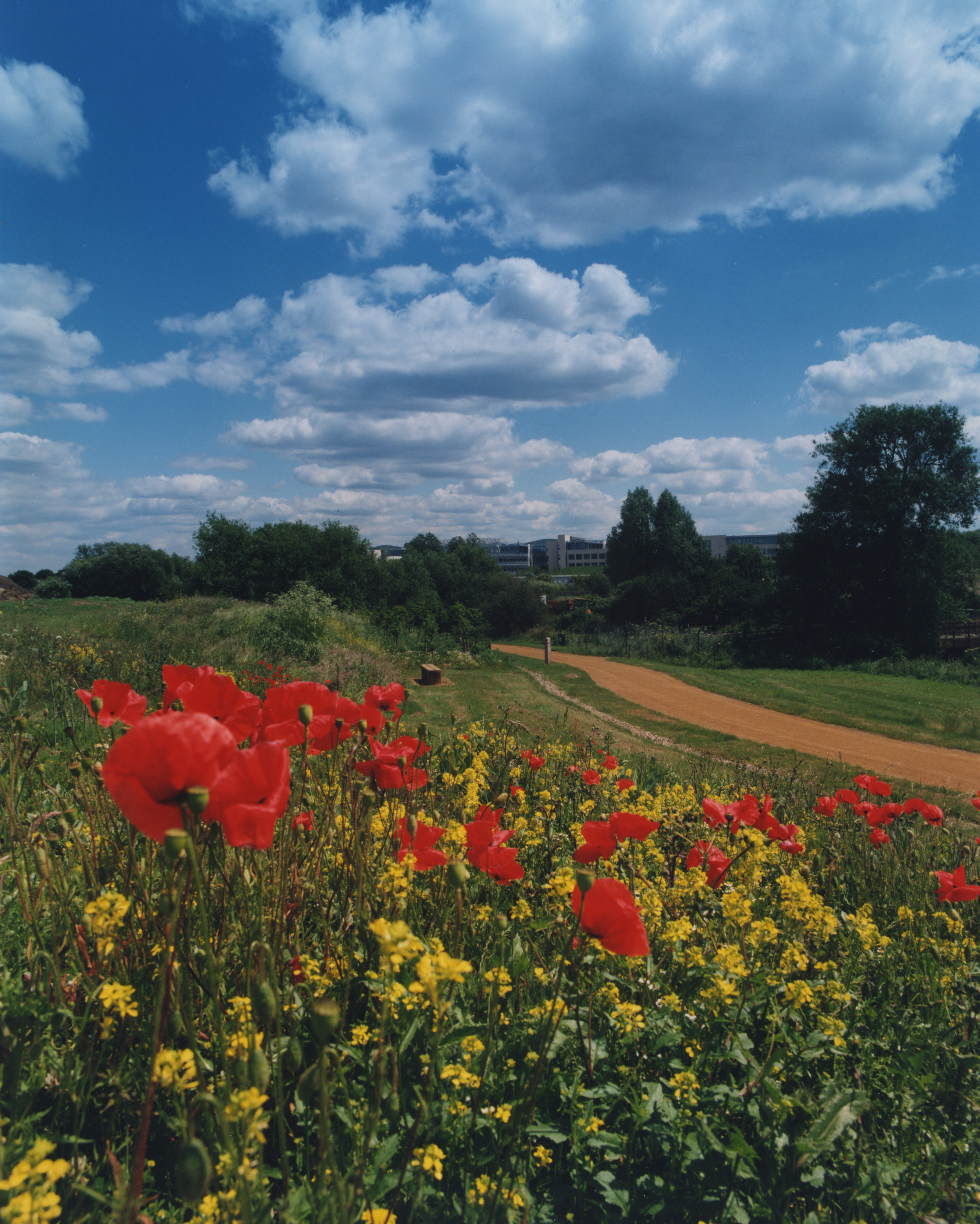 Harmondsworth Moor and the Great Barn