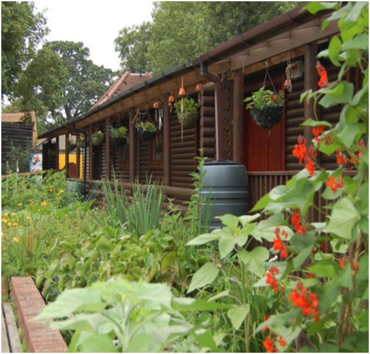 PLANT sale at Iver Environment Centre