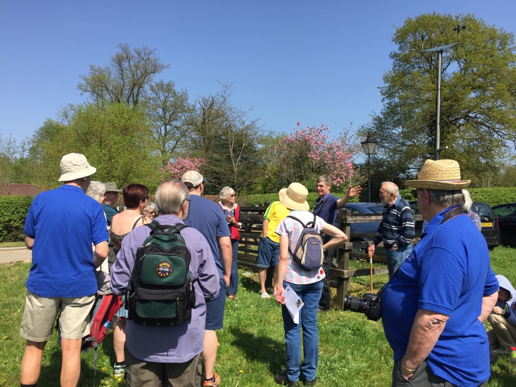 Guided Walk Black Park