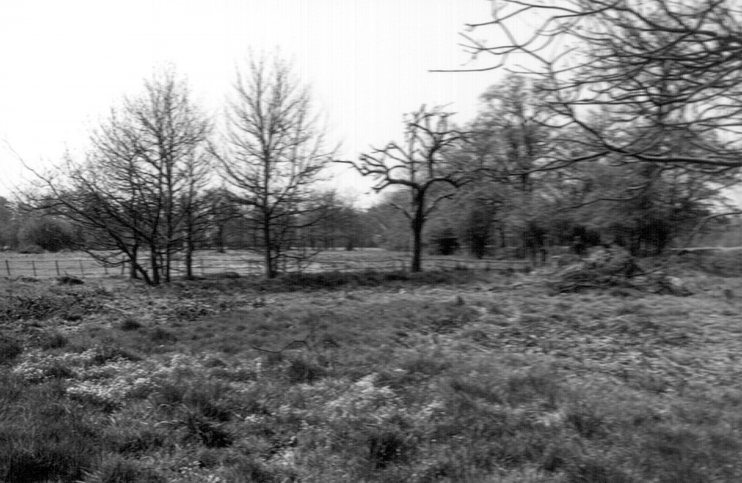 Pinewood Road Archives Colne Valley