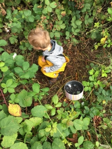 Child foraging