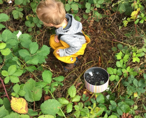 Child foraging
