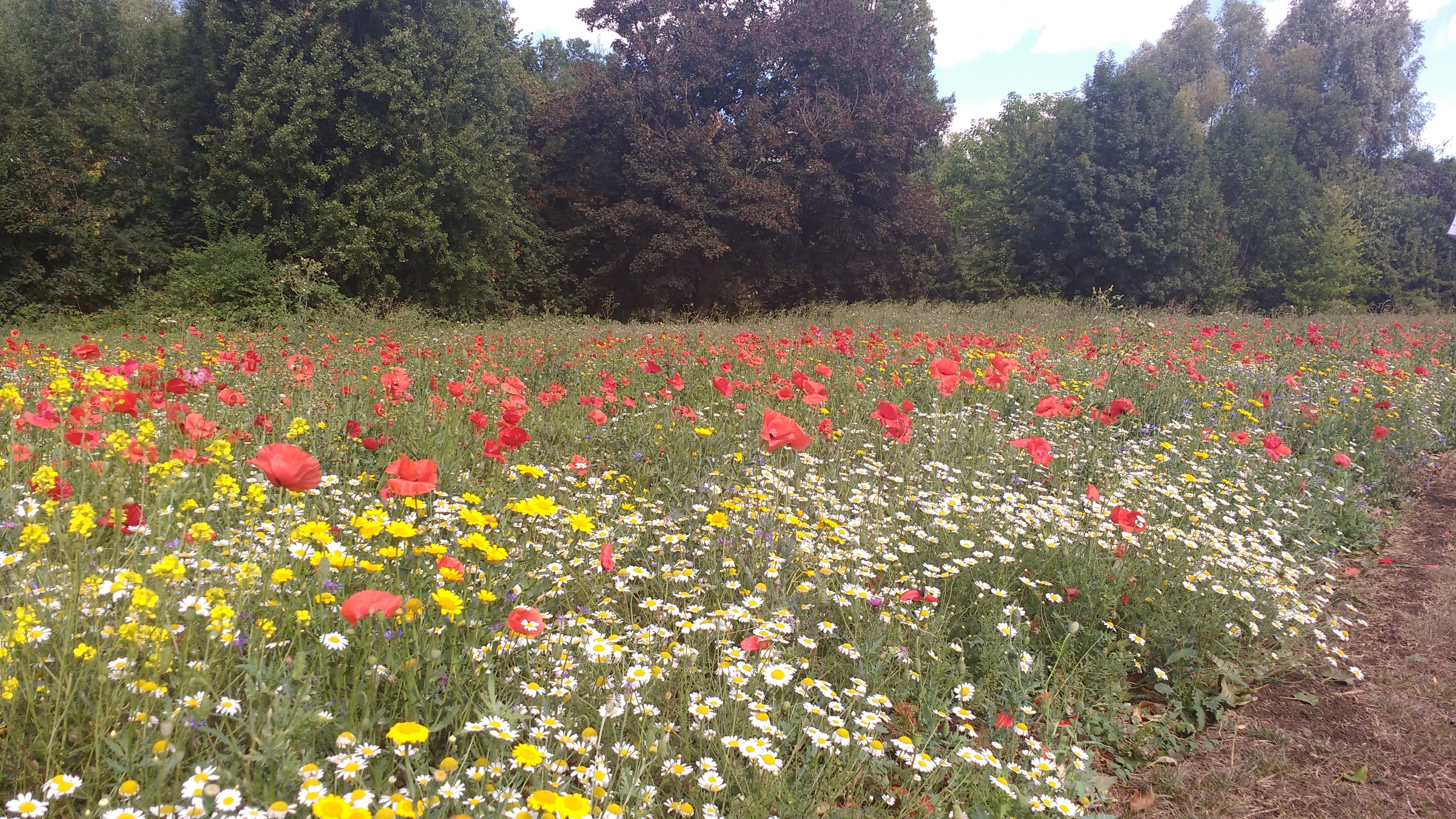 Lammas Recreation Ground & Church Lammas