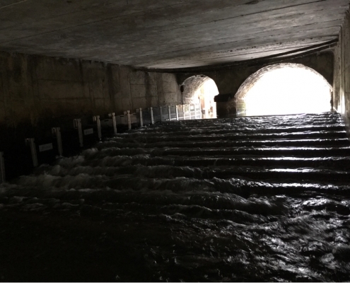 Figure 1. Fish and eel passage installed at Thorney weir in Thorney