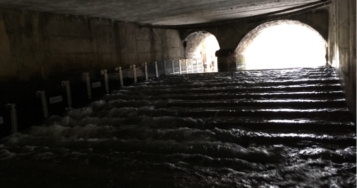 Figure 1. Fish and eel passage installed at Thorney weir in Thorney