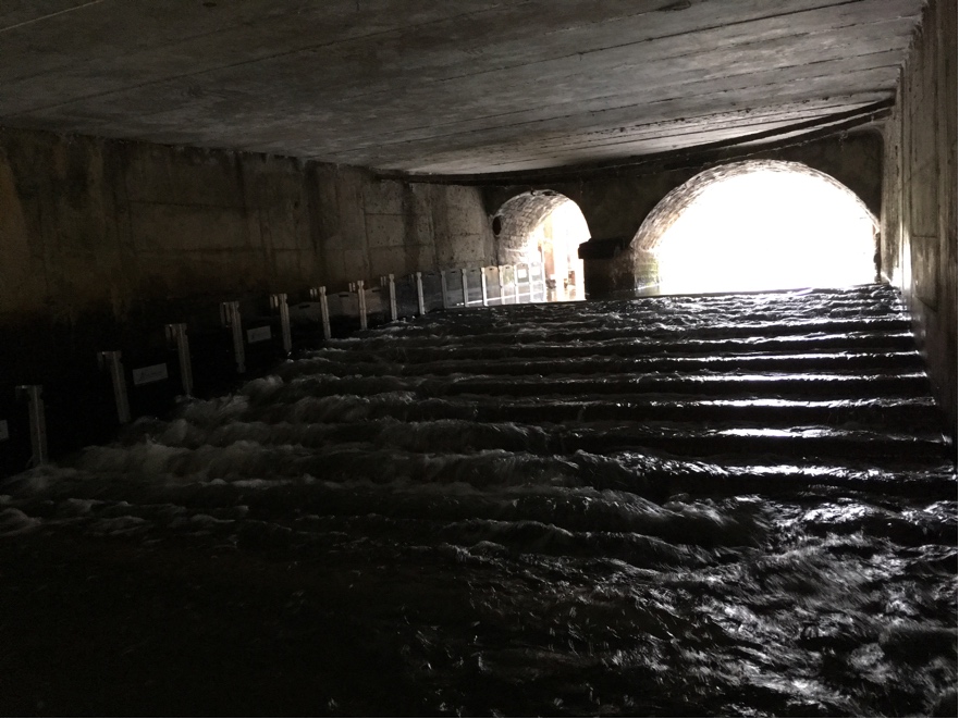 Figure 1. Fish and eel passage installed at Thorney weir in Thorney