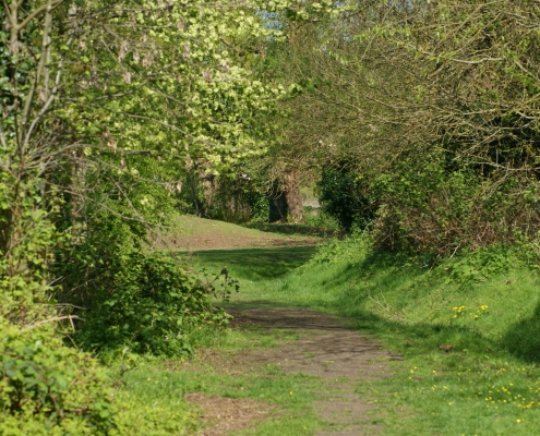 Natural Pathway