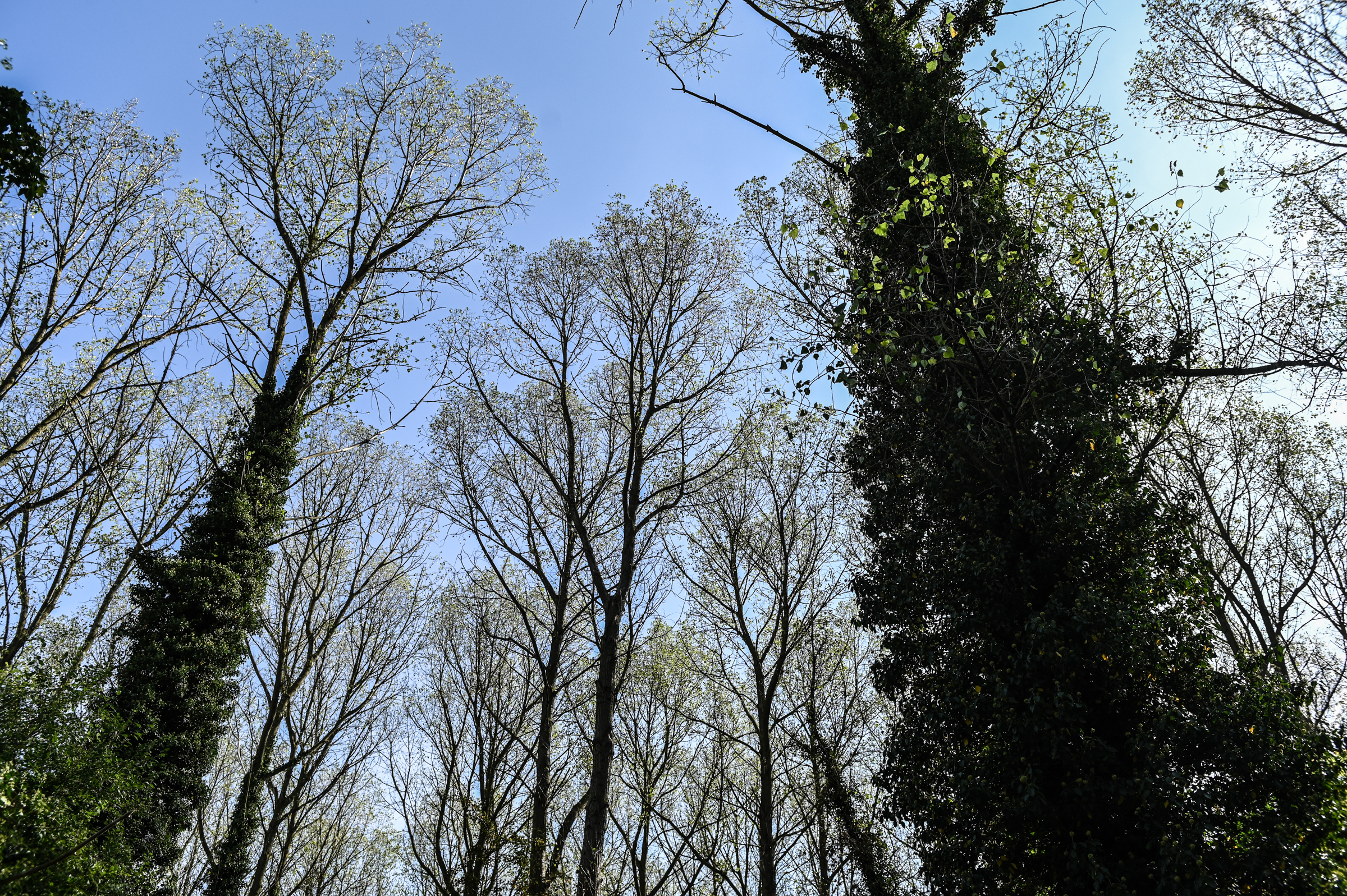 Arthur Jacob Nature Reserve