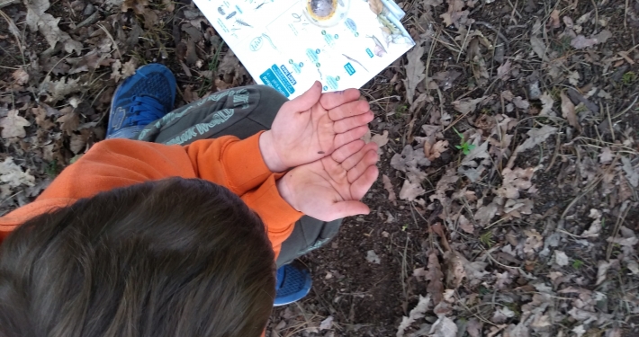 Family Bug hunting and habitat creation in Iver