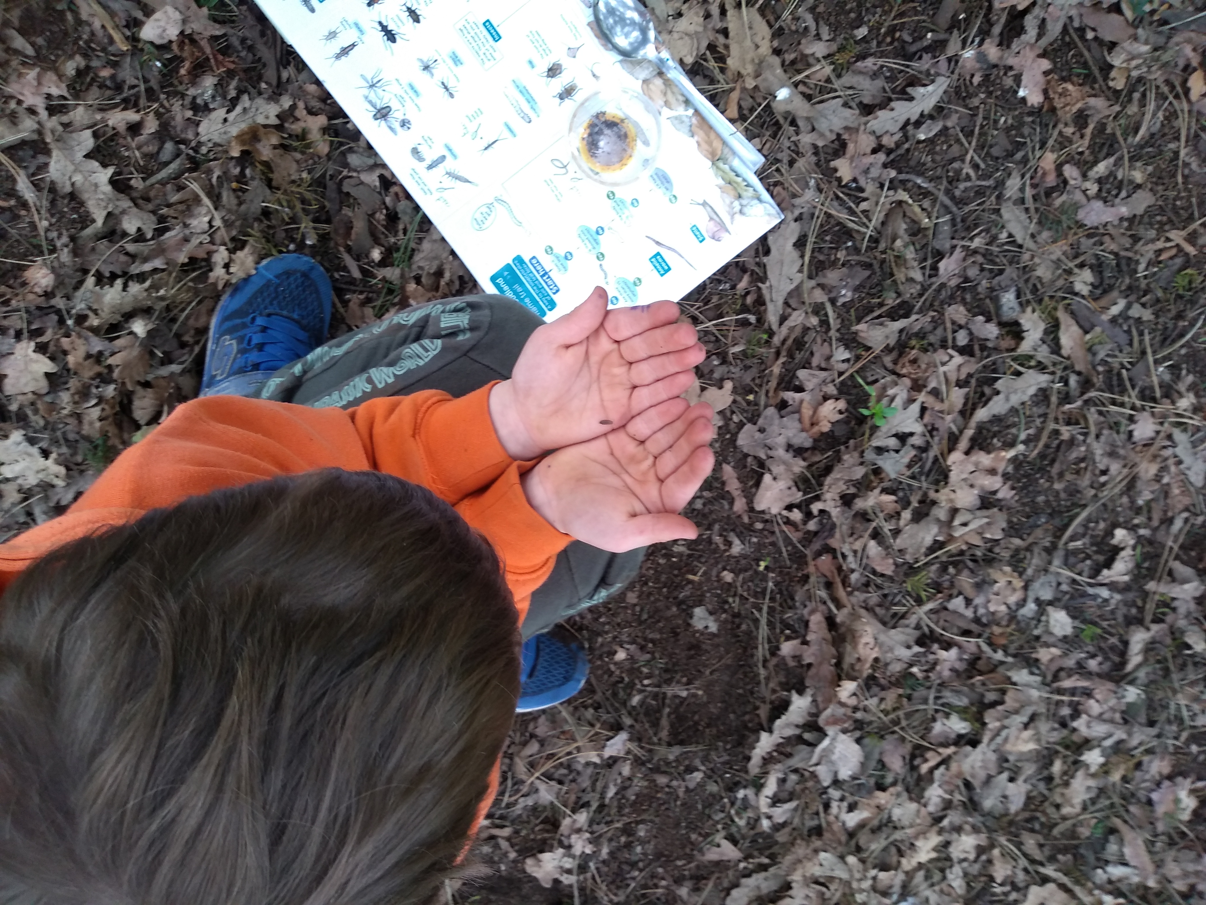 Family Bug hunting and habitat creation in Iver