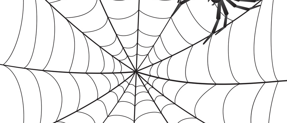 Spooky Spider Half Term Activity