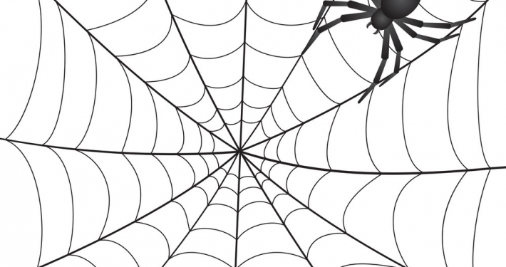 Spooky Spider Half Term Activity