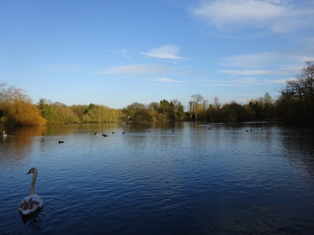 Led Walk: Little Britain Lake, Cowley