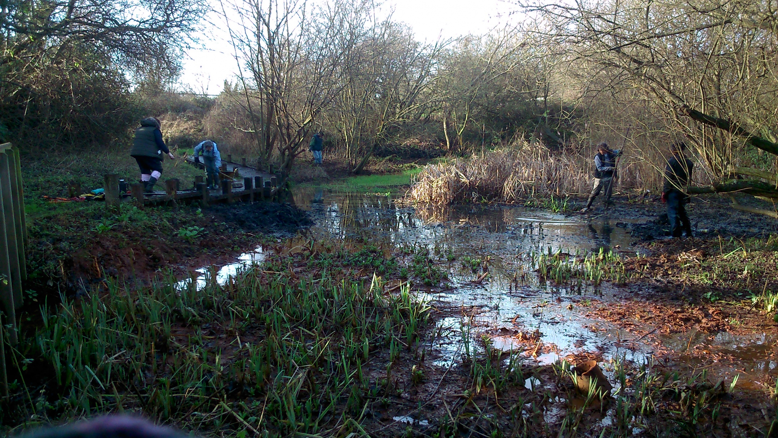Hardings Row Nature Reserve