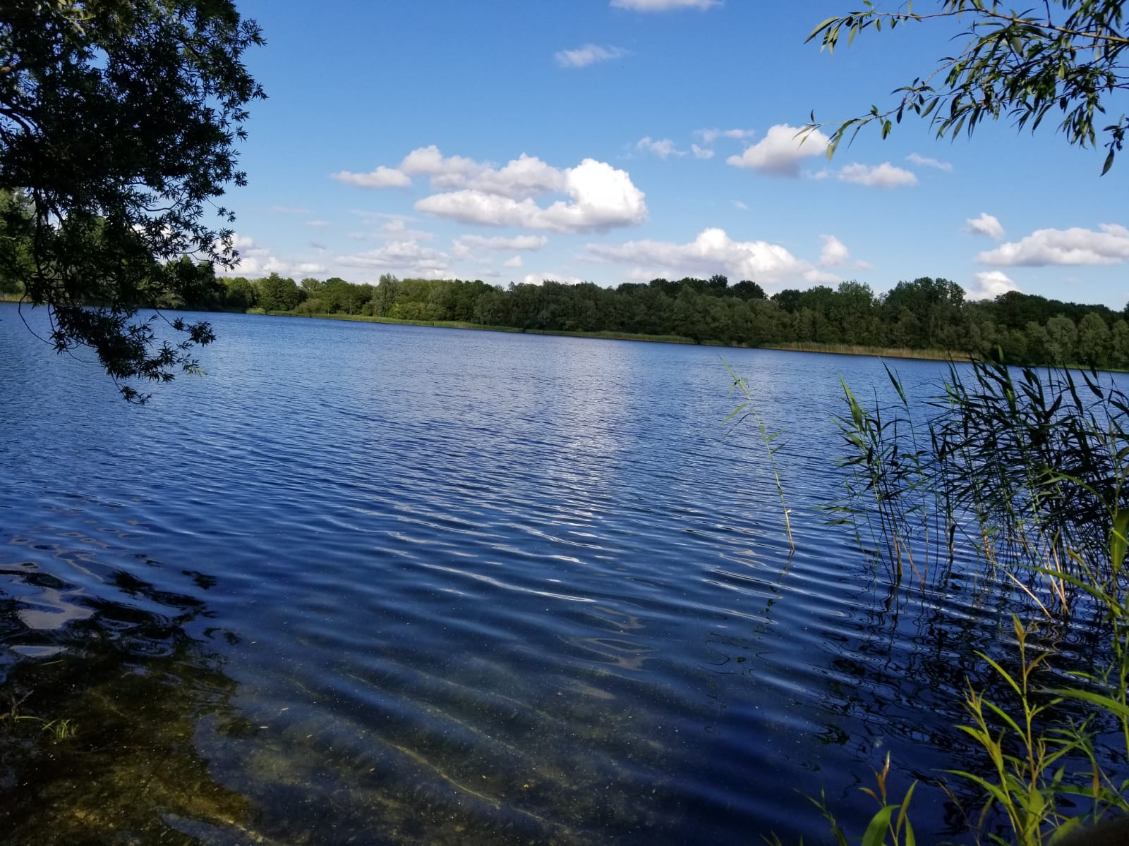 Thorney Country Park