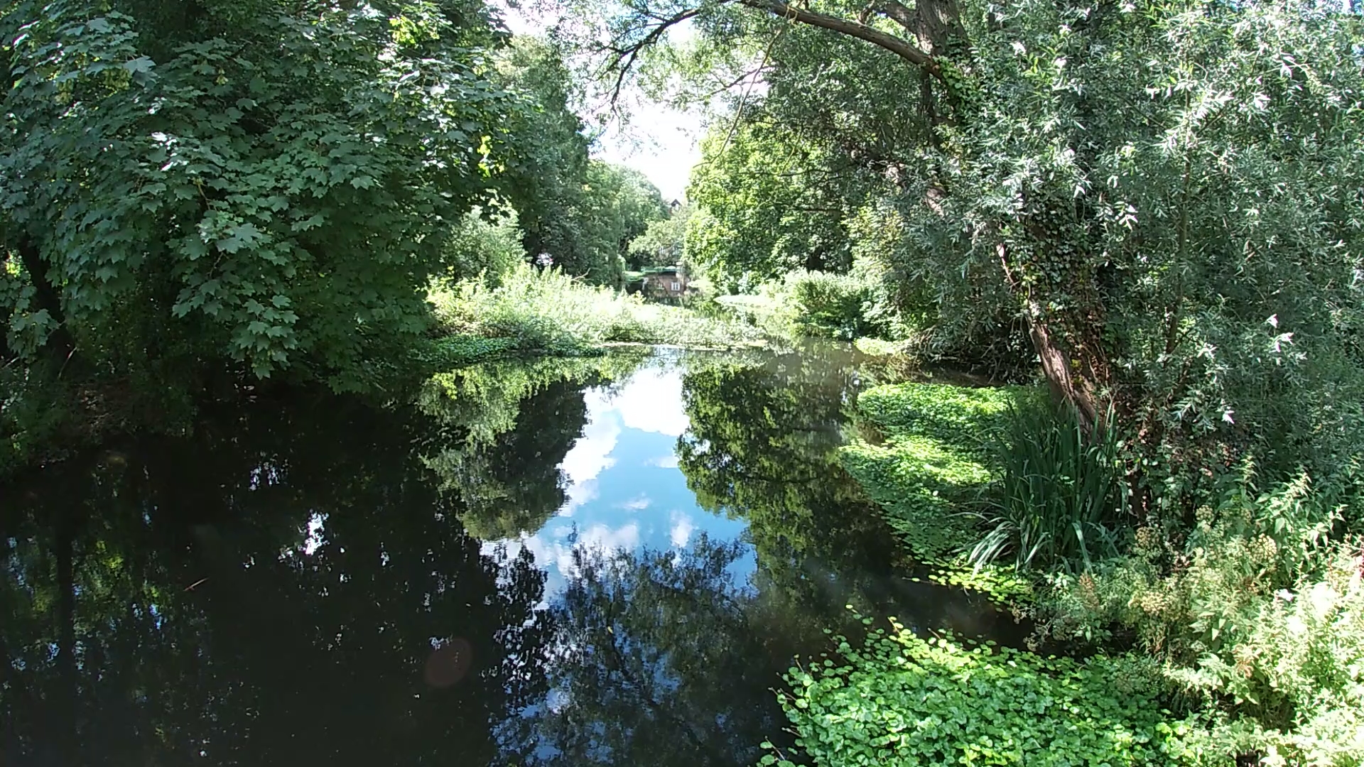 Frays Island and Mabey’s Meadow