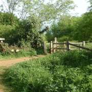 Led Walk: West Drayton