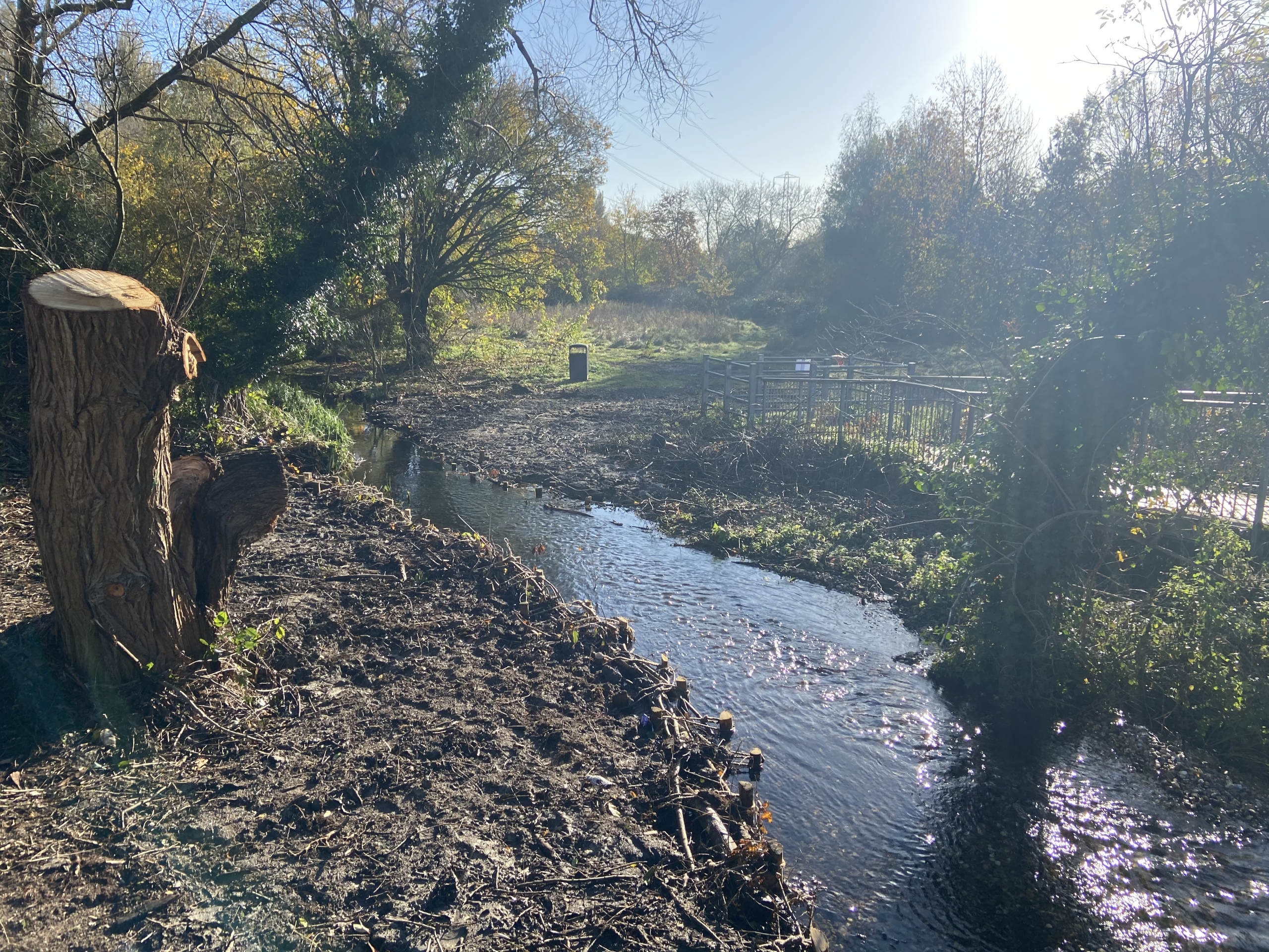 Planting by the River Ash