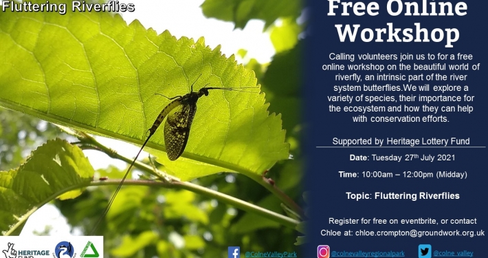 Fluttering Riverflies - Online Workshop