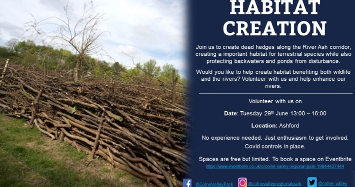 Habitat Creation Ashford