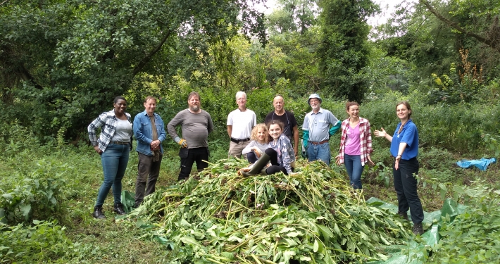 River Rangers with pile of Himilayan Balsam they have removed