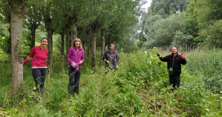 Balsam Bash in Harefield