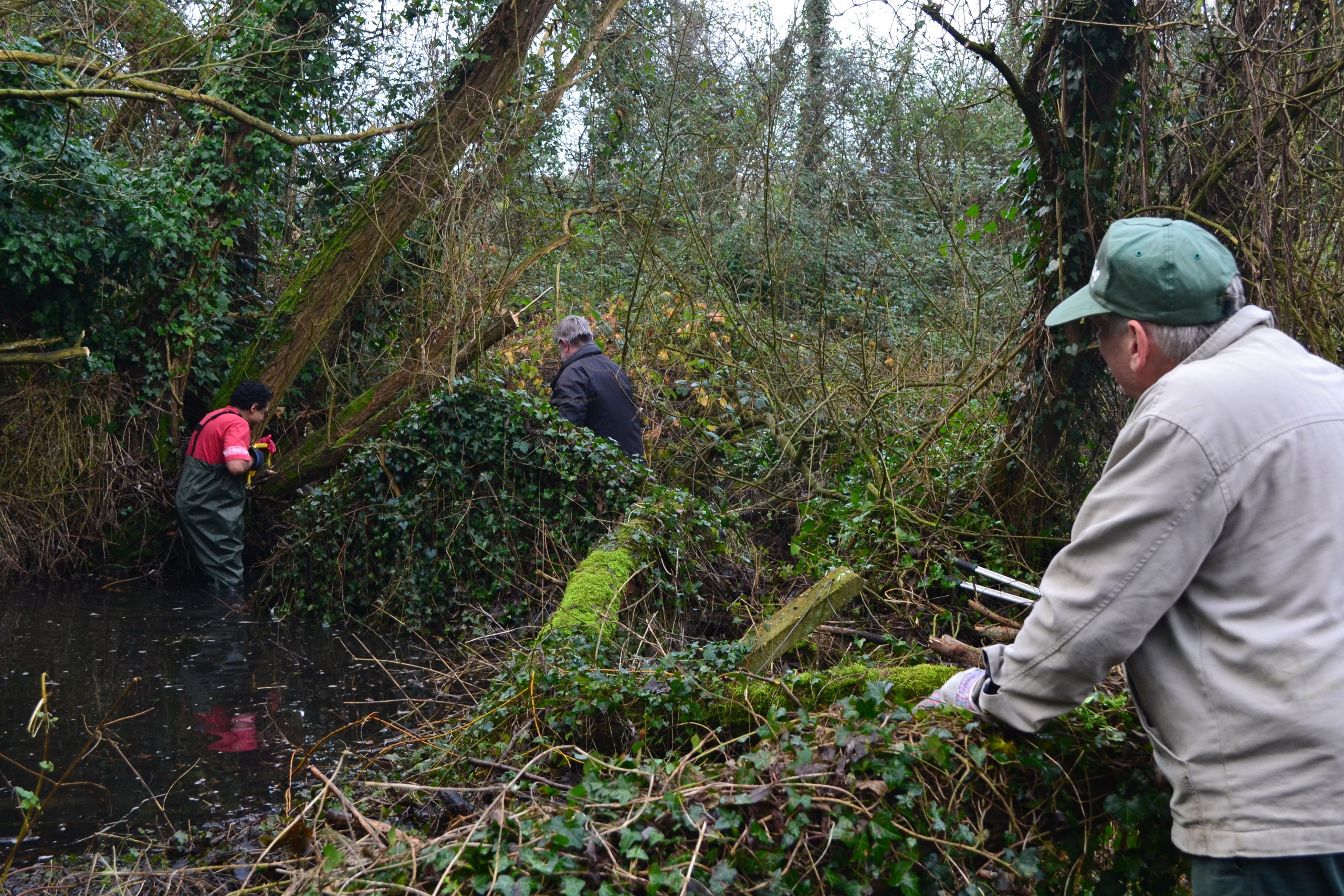 Volunteer Task at Allens Field