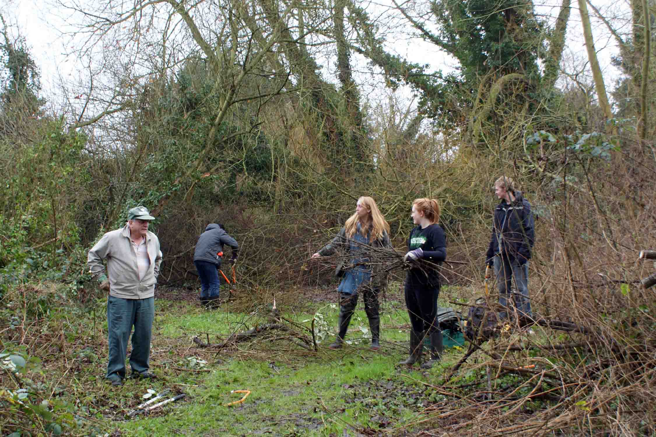 Volunteer Task at Crown Meadow
