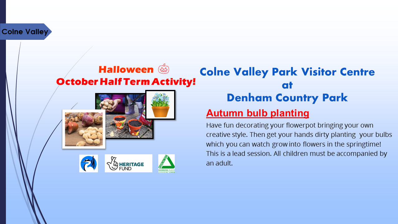 Autumn Bulb Planting