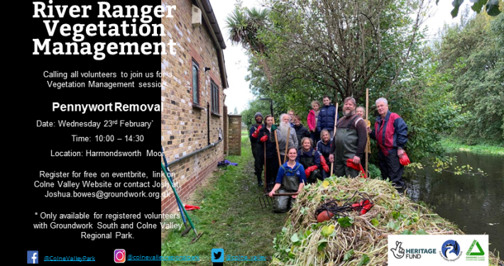 Vegetation Management