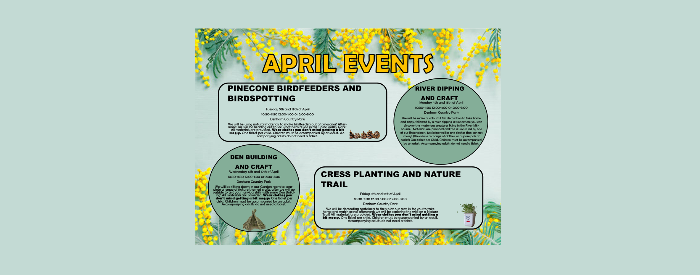 Pinecone Birdfeeders And Bird Spotting