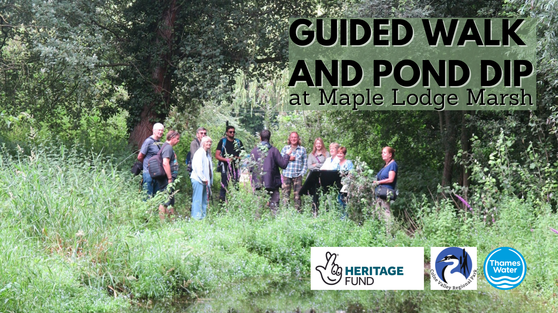 Guided Walk and Pond Dip at Maple Lodge Marsh