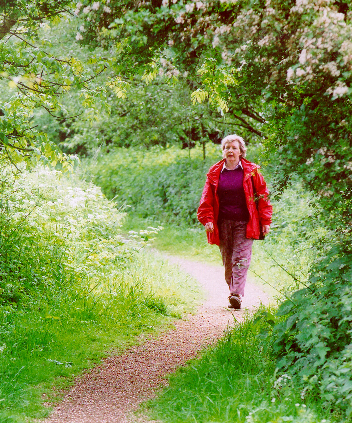 Rickmansworth Ramble