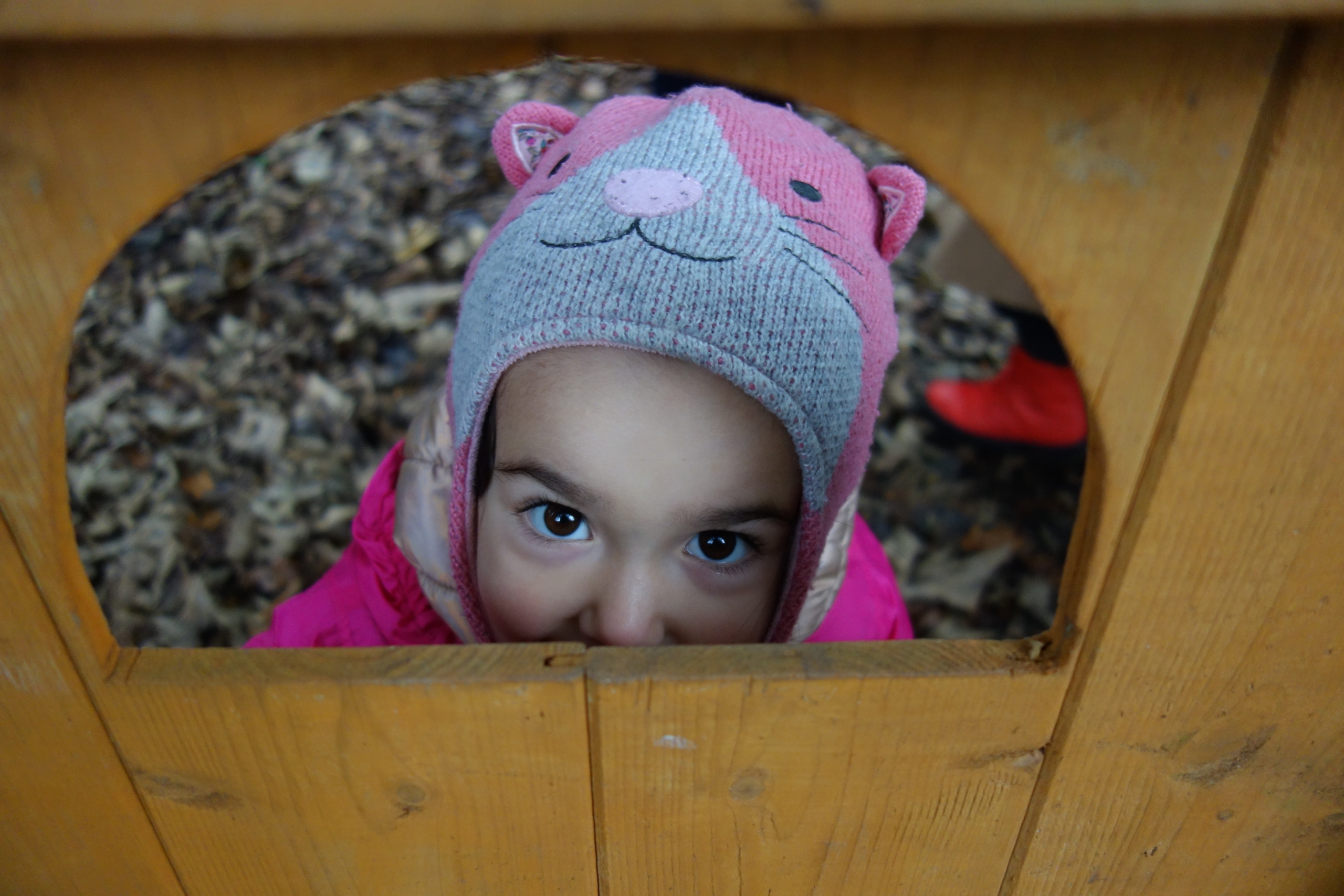 MINI MONDAYS at Iver Environment Centre