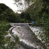 What’s Been Happening in Denham Country Park? Free Guided Ranger Walk with Bucks Country Parks