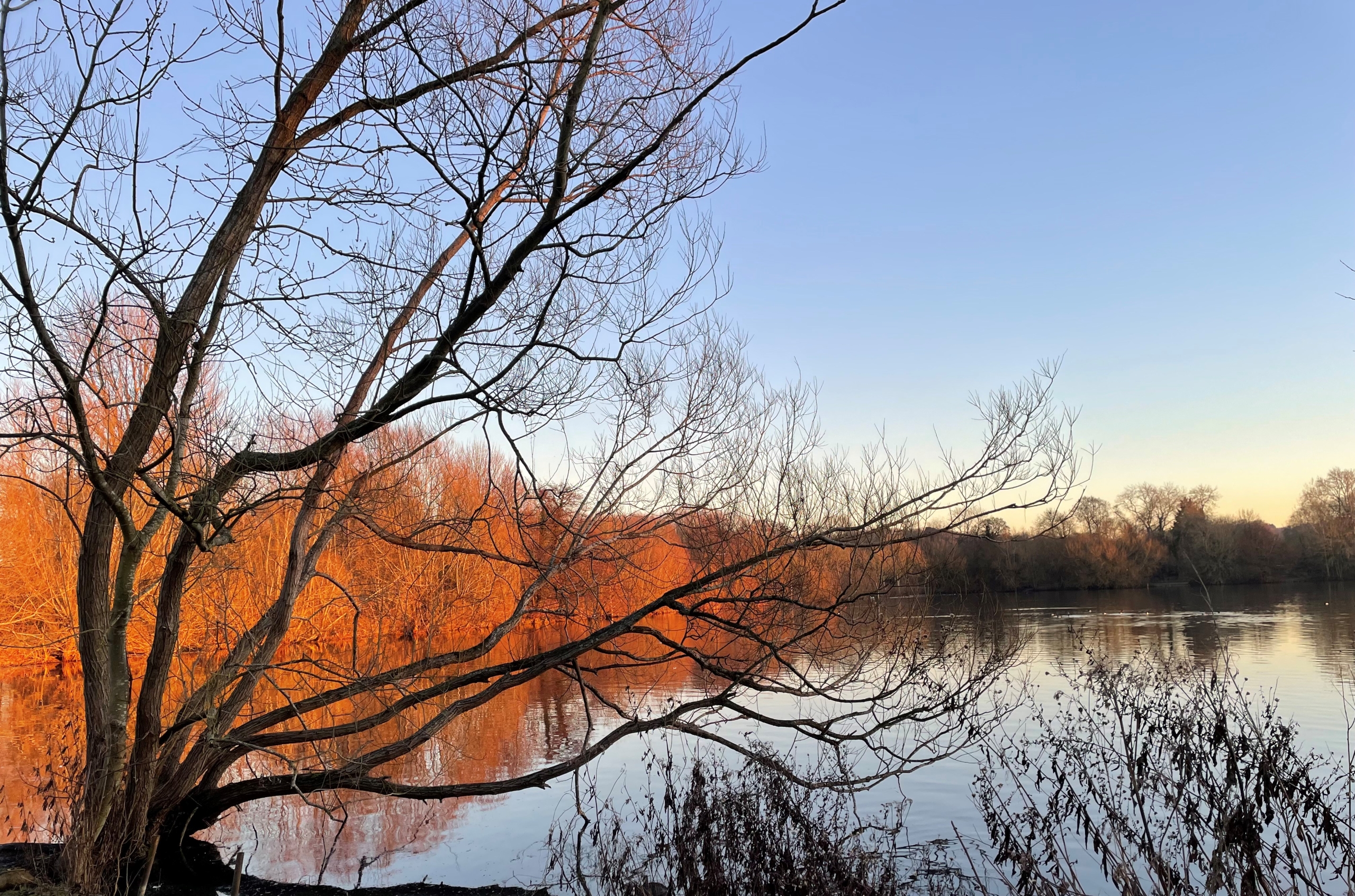 Rickmansworth Aquadrome