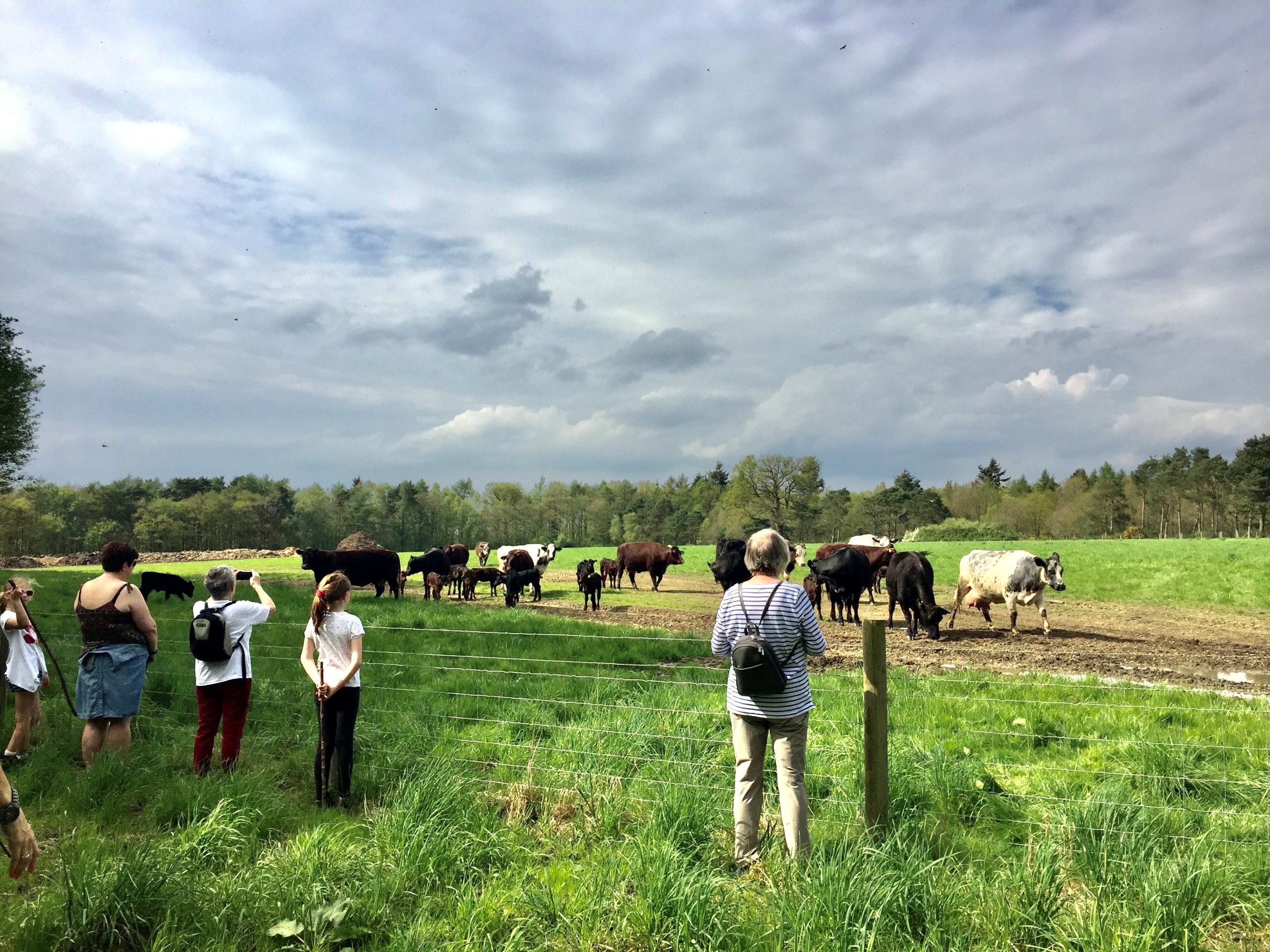 Meet the Farmer - Walk and Talk at Woodoaks Farm