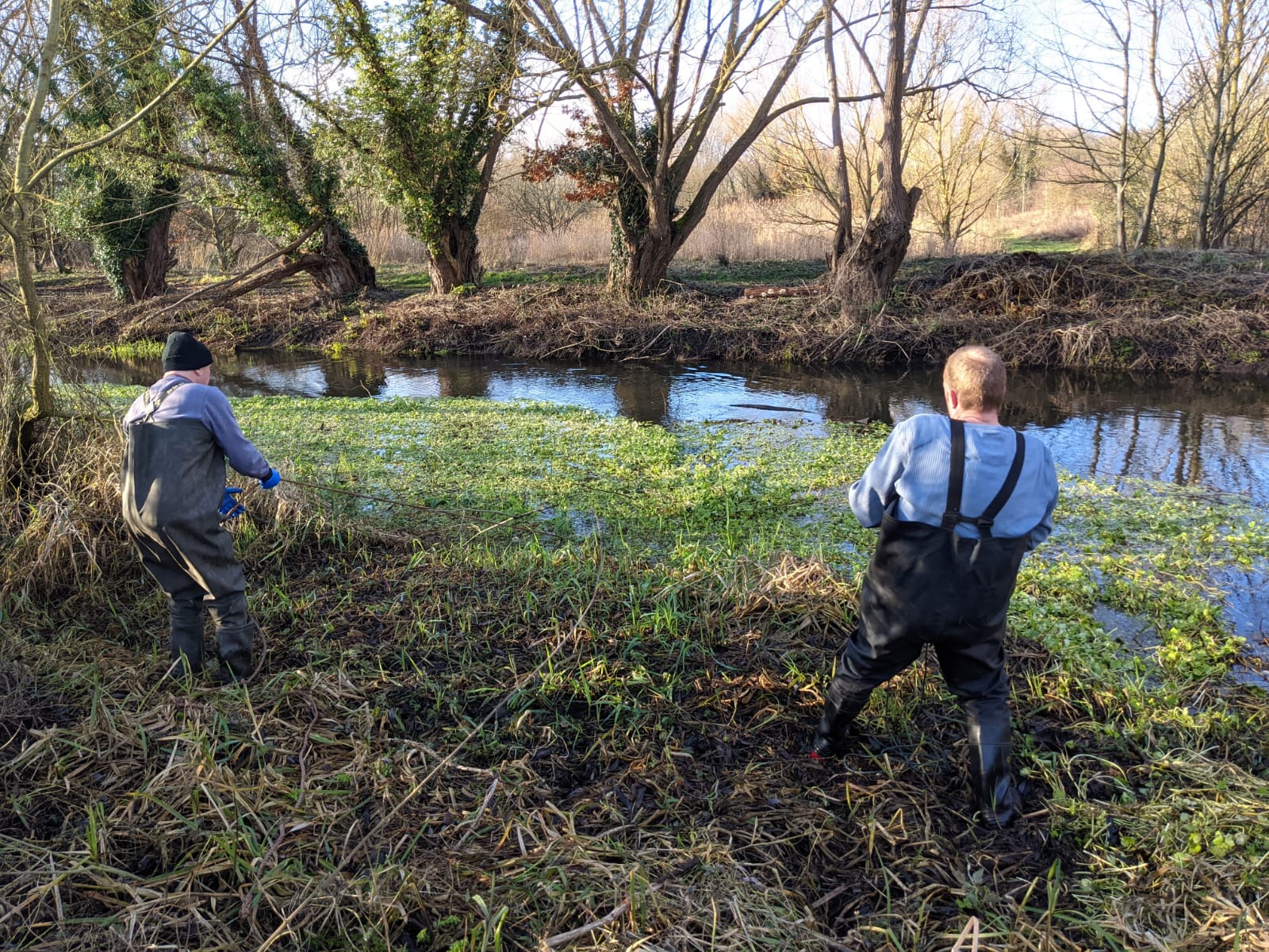Floating Pennywort Removal at Iver Mud Wharf