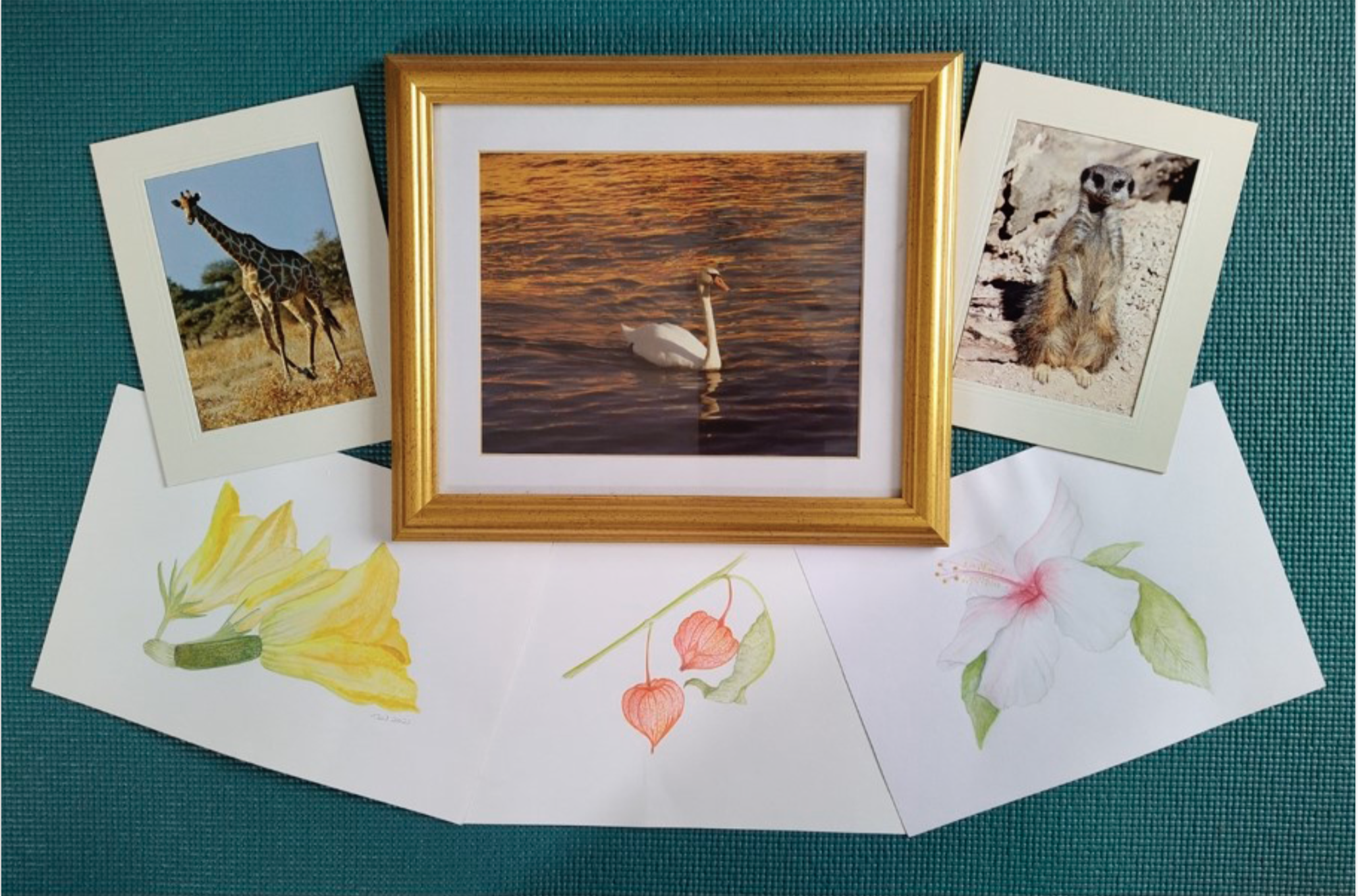 Nature Inspiring Art, through Photography and Painting talk and exhibition