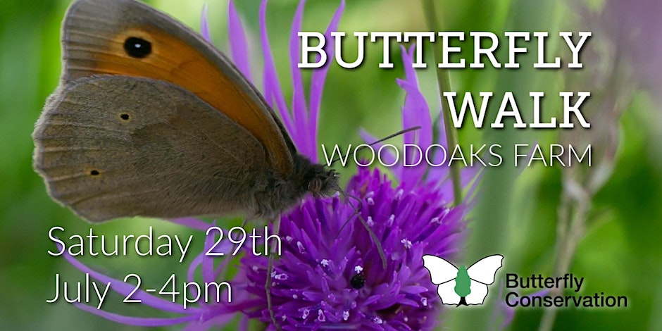 Butterfly Walk with Martin Taylor at Woodoaks Farm