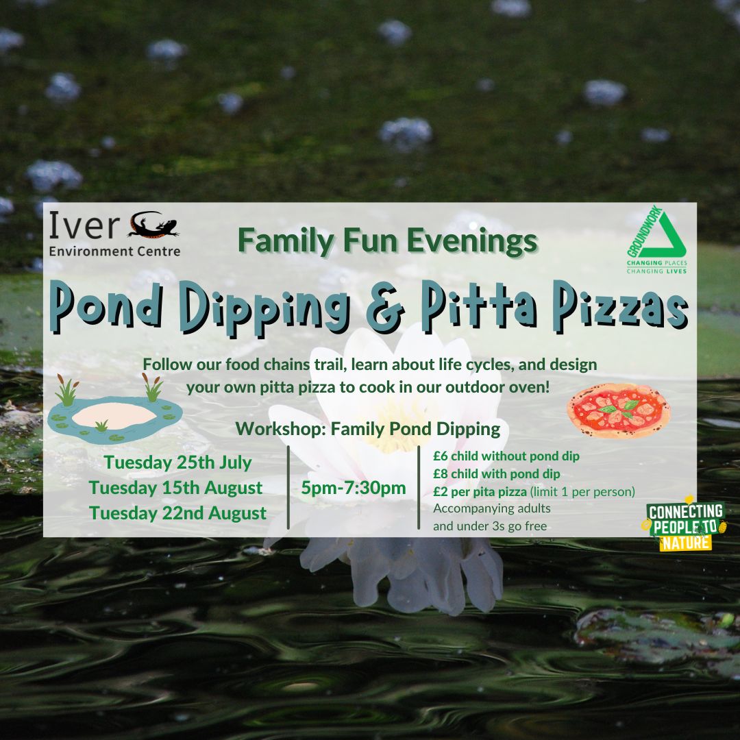 Family Fun Evening - Pond Dipping and Pita Pizzas