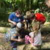Bug hunt and craft at the Visitor Centre in Denham