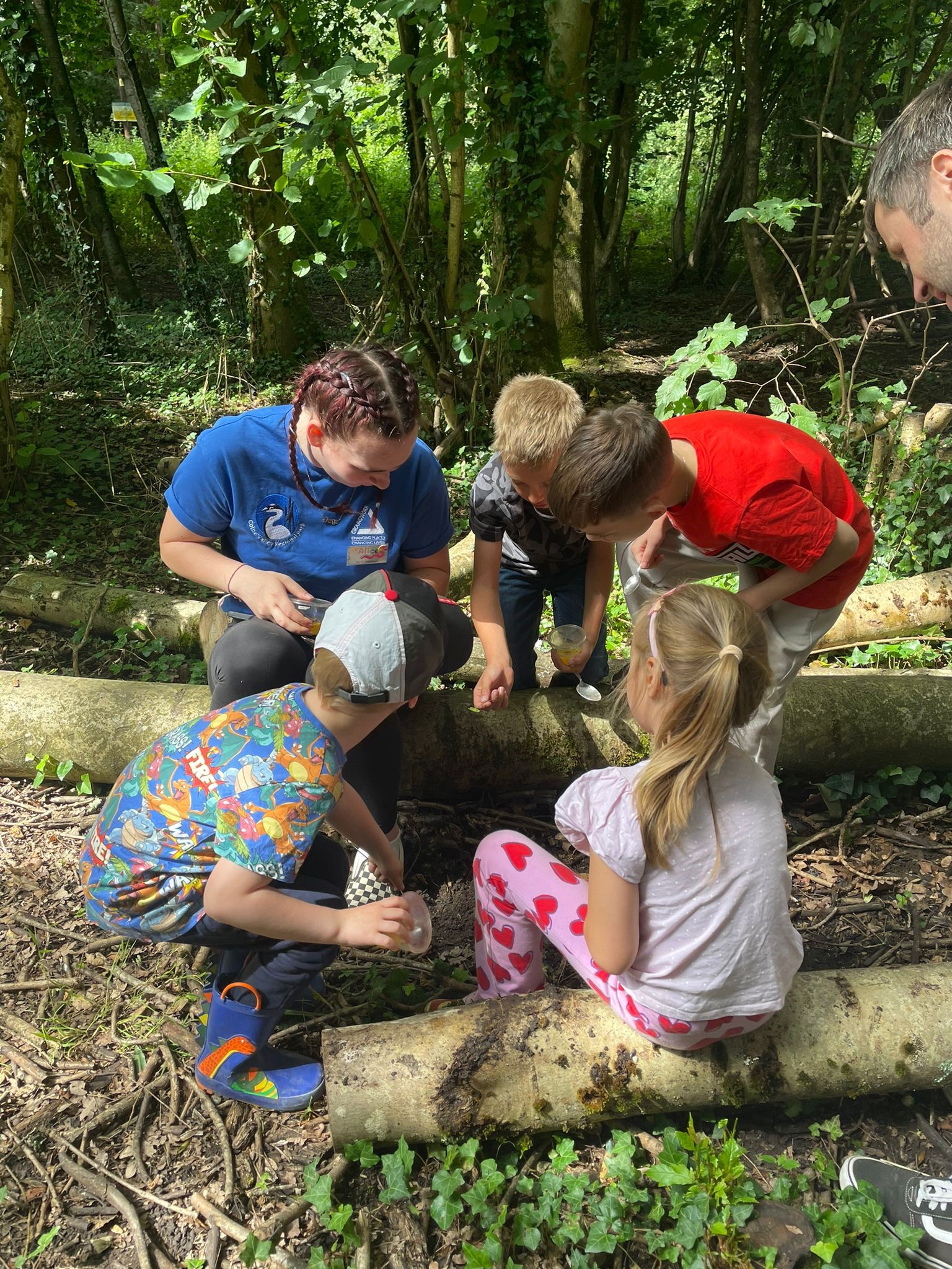 Bug hunt and craft at the Visitor Centre in Denham