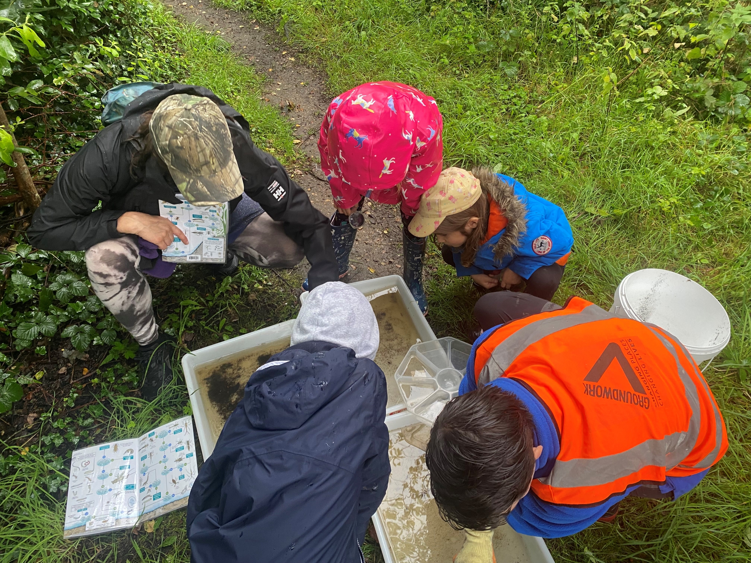 Family pond dip and habitat creation in Iver