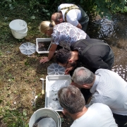 Riverfly Taster Day