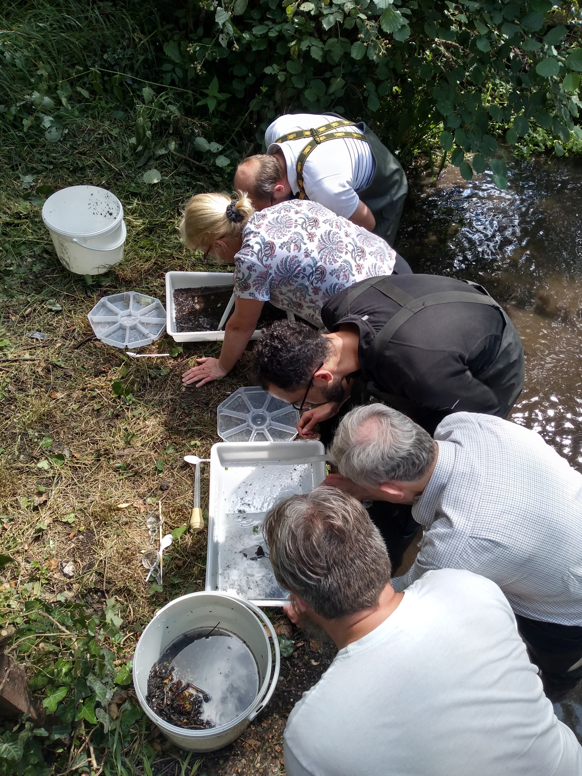 Riverfly Taster Day *** Cancelled ***