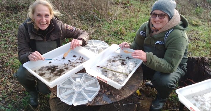 Riverfly Surveying