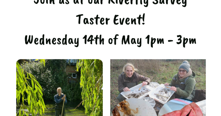 Riverfly Survey Taster Event in Denham