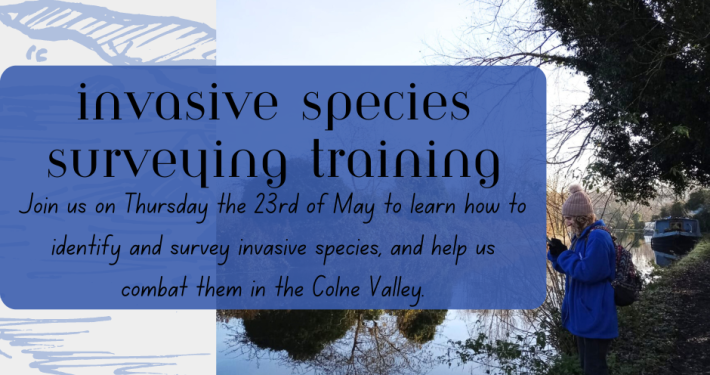 Invasive Species Surveying Training Course