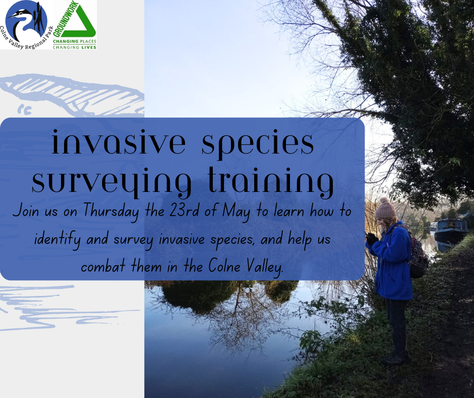 Invasive Species Surveying Training Course
